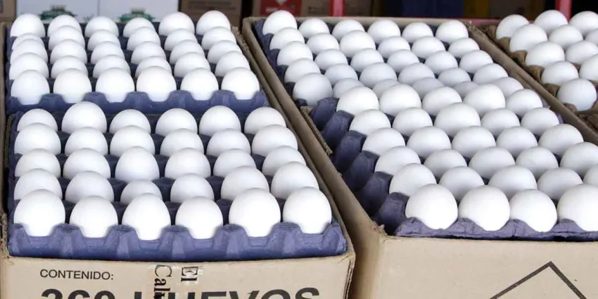 Huevo de EU amenaza ventas de productores de Tehuacán