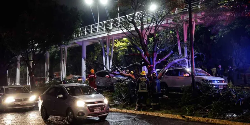 Fuerte lluvia deja árbol sobre autos y vehículos atrapados en Puebla