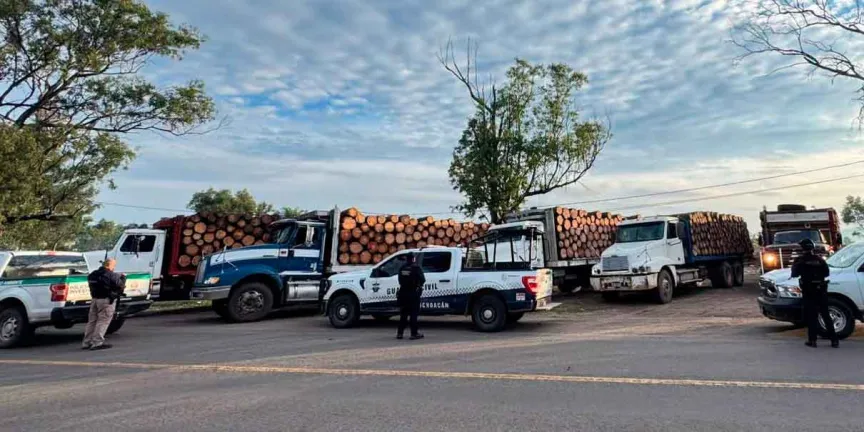 Cinco camiones abandonados destapan cargamento de madera en Morelia